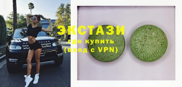 индика Гусь-Хрустальный